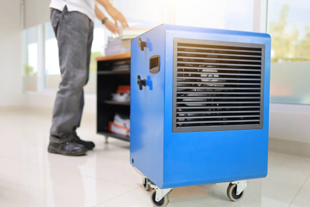 Best Airborne Mold Testing  in Salt Lake City, UT