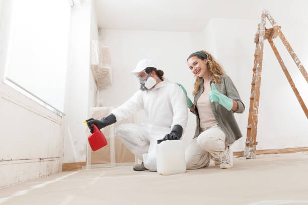 Best Mold Remediation for Healthcare Facilities  in Salt Lake City, UT
