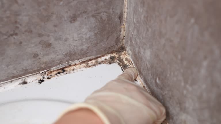 Best Post-Remediation Verification Testing  in Salt Lake City, UT